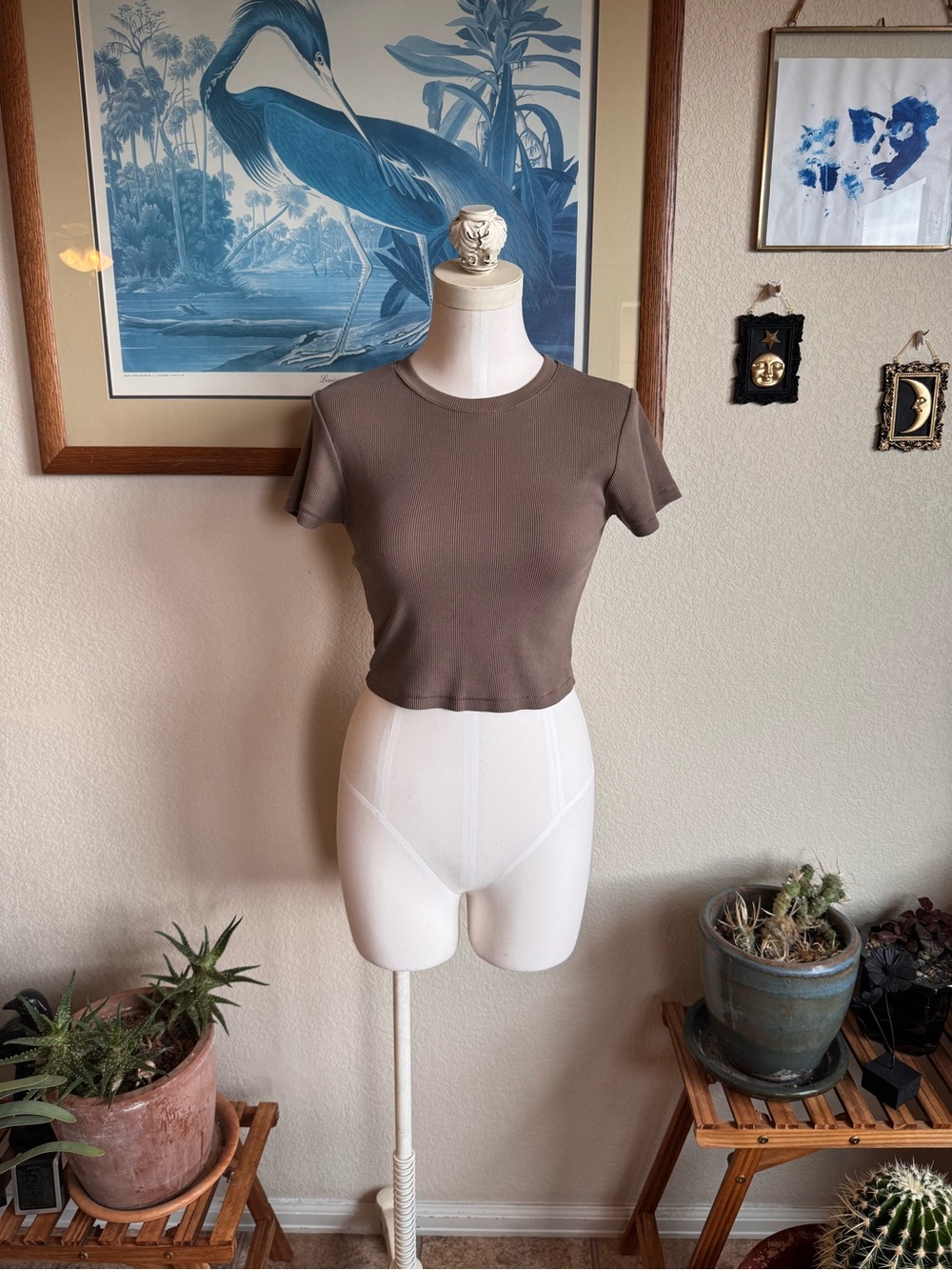 nuuds Mocha Cropped Baby Tee